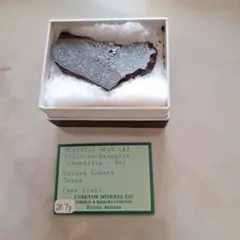 ➆MCKENZIE DRAW (A) 隕石 28.7g