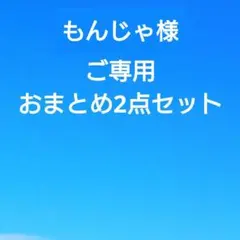 もんじゃ様 リクエスト 2点 まとめ商品