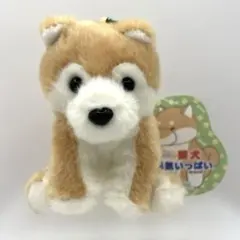 2026年最新】くったり柴犬の人気アイテム - メルカリ