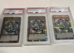 遊戯王 WCS2018 青眼の白龍 ブラックマジシャン 20th psa10 - メルカリ