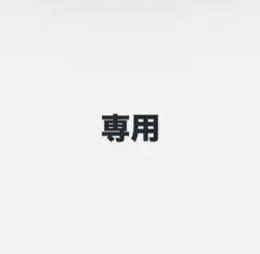 【専用】
