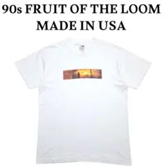 OASIS？ 90s USA製 フルーツ PLAN001 フォトプリントTシャツ