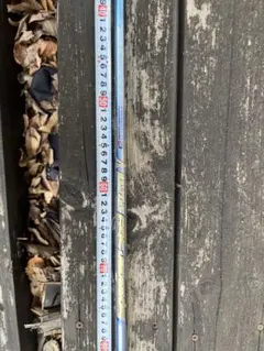 Item thumbnail for item a34cadd9-a068-466c-9b53-8ed598bd7f17