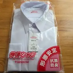 Item thumbnail for item f959e8ba-fd91-44d3-97fc-1c1da86a1e8f