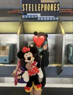 ミニーマウス ぬいぐるみ 大きめ