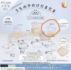 うちの子のけだまだま　三角たれみみ