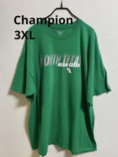 Champion チャンピョン カレッジ 半袖 古着Tシャツ 古着 ビッグT