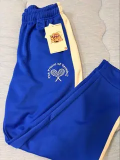 新テニスの王子様　テニプリ　ジャージ風トラックパンツ　青学　Mサイズ