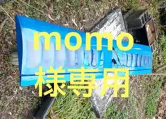 momo様専用 ラジコン飛行機（翼）