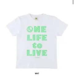 Item thumbnail for item 0c218a7b-b3bf-4955-bc0c-2179eb25ee1f