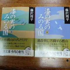 2026年最新】藤沢周平 小説 セットの人気アイテム - メルカリ