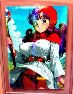 両面セクシーカード