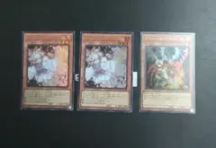 遊戯王 灰流うらら ドロール＆ロックバード 計3枚セットのサムネイル