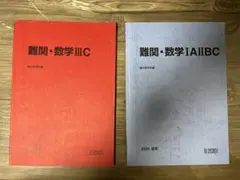 駿台 竹岡広信 夏期講習 2025 セット 2025年最新】駿台夏期講習の人気アイテム - メルカリ