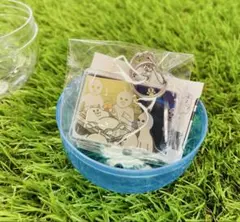《即日配送可能》んぽちゃむ きみまろ　アクリルキーホルダー ガチャ　シークレット