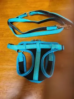 犬用ハーネス・リードセット