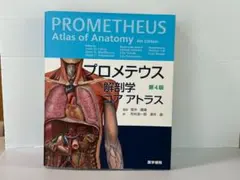 2026年最新】プロメテウス解剖学コアアトラス第4版の人気アイテム