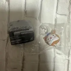【新品　未開封】プロ野球マスコット めじるしチャーム