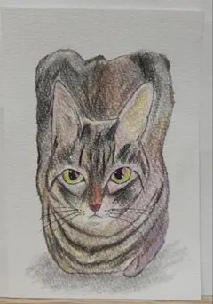 猫 油絵 原画 手描き 油彩 ミニ絵画 - メルカリ