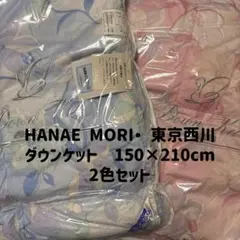 HANAE MORI 東京西川 ダウンケット 2色セット シングルロングのサムネイル