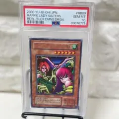 PSA10 ハーピィレディ Vジャンプ プロモ 限定 遊戯王 カード 世界39枚 PSA10 ハーピィレディ Vジャンプ プロモ 限定 遊戯王 カード 世界39枚