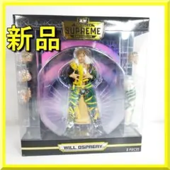 SWTOYS 1/6 眼球可動ヘッド（笑み） エイダ・ウォン バイオハザード