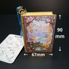 ファンタジースプリングス　ミニスナックケース　バッグチャーム