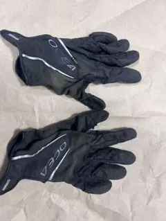 Item thumbnail for item a9b62530-8943-4304-95b0-149cb3fbe4f5