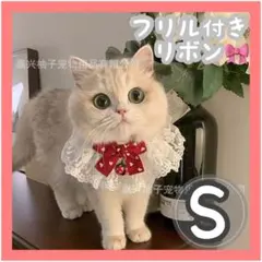 Item thumbnail for item 575acd7a-1741-411f-81d7-4e2ed4af07a4