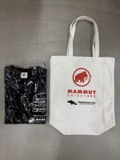 Item thumbnail for item 374e24c8-f6c4-44ae-b5f3-53e7a2817e0e