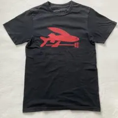 Patagoniaパタゴニア　半袖Tシャツ（XS）オーガニックコットン　プリント