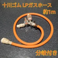 Item thumbnail for item bd4deef7-33dd-4ac1-b016-053d42967215