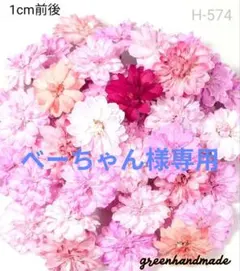 八重コデマリ　ブルーミックス　ドライフラワー　H-570 八重コデマリ ブルーミックス ドライフラワー H-570 - メルカリ