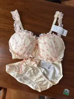 Triumph AMO’S STYLE ブラandショーツセット　F65