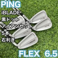 PING iBLADEアイアンセット 5-9, W 6本セット - メルカリ