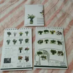 Fujico Hashimoto2026 3400⇒2999⇒2222⇒2千円