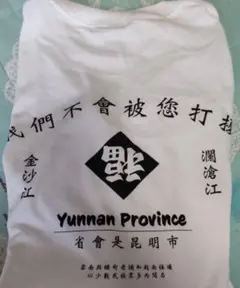 GILDAN 白 雲南 長袖 Tシャツ XLサイズ ロンT　ギルダン