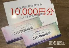 ヤマダ電機 お買い物優待券　10000円分