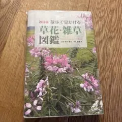 散歩で見かける草花・雑草図鑑