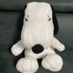 SNOOPY big ぬいぐるみ スヌーピー 大きい ふわふわ 大人可愛い