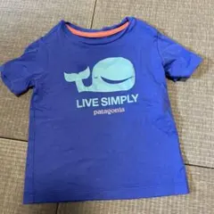 Patagonia 半袖Tシャツ サイズ12-18m