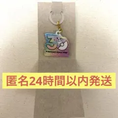ポケモン　ポケチャーム30周年ロゴマスコット　ポニータ（ガラルのすがた）