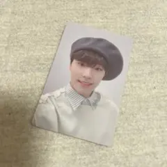 seventeen you made my dawn トレカ DINO