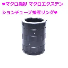 Item thumbnail for item f41ccb73-316d-4607-a863-123d0027cf26