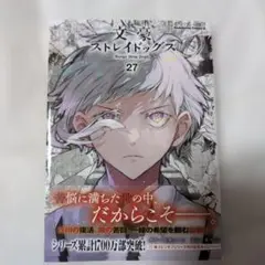 文豪ストレイドッグス (27)