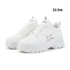 Item thumbnail for item 648e421b-b610-4626-8616-56bf907d6c86