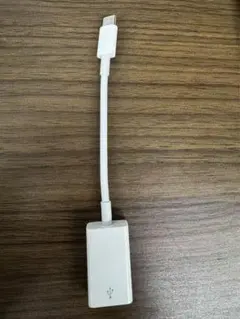 正規品 Apple USB-C - USBアダプタ A1632