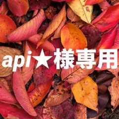 api★様 リクエスト 5点 まとめ商品