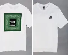 シュプリーム ノースフェイス バンダナ Tシャツ