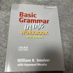 Basic Grammar in age Work book